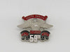 Sturgis Eagle Wing Pin - 1999