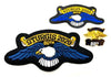 Sturgis Eagle Wing Pin, Patch & Sticker Set - 2020