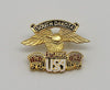 Sturgis Eagle Wing Pin - 1982