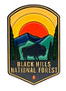 BH Bison Magnet