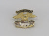 Sturgis Eagle Wing Pin - 1984