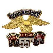 Sturgis Eagle Wing Pin - 1995